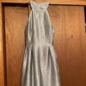 Silver Brocade Dress